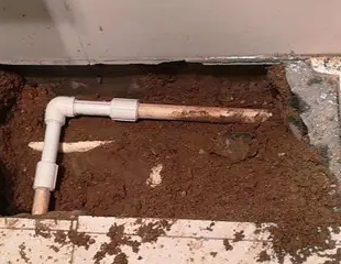 广丰测漏水哪家好