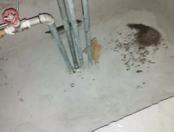 广丰卫生间测漏水价格明细