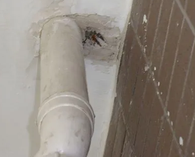 广丰漏水检测哪家好